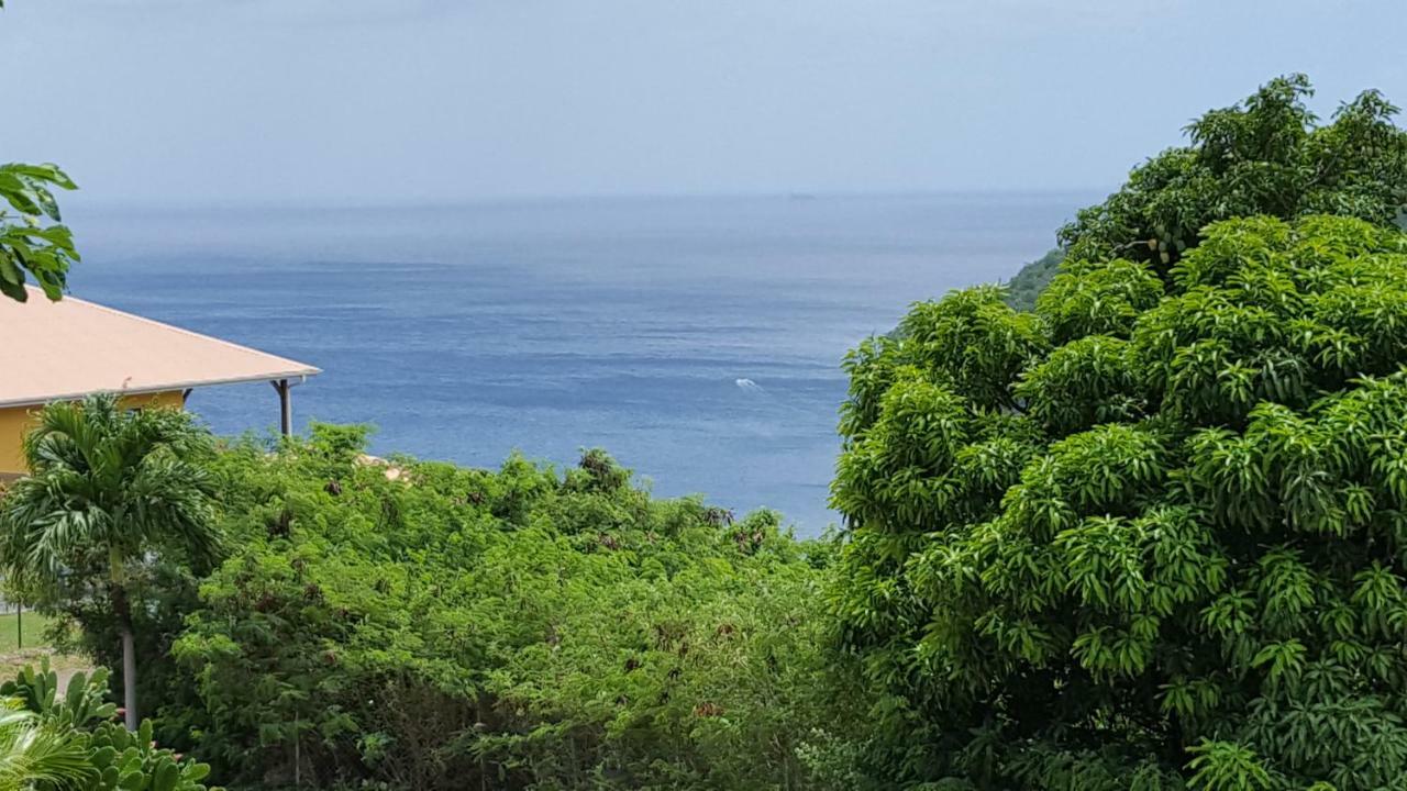 Apartamento La Yole Des Caraibes Les Anses-d'Arlet Exterior foto
